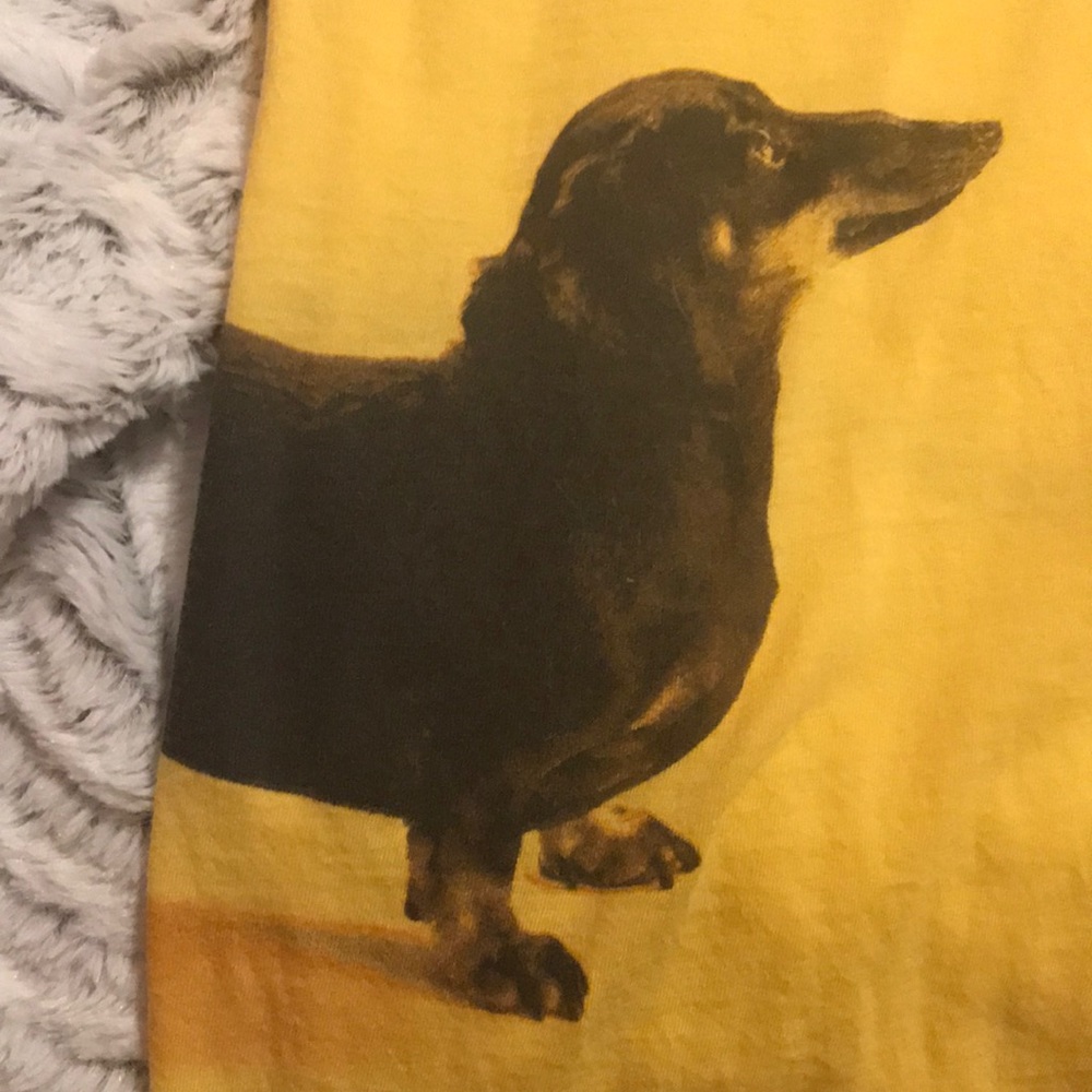 Awesome Dachshund T-Shirt